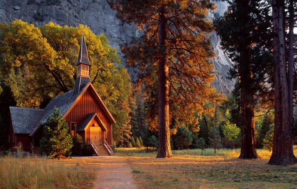 Nature, House, Beauty