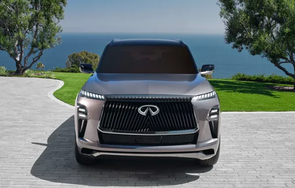 SUV, Infiniti, Suite, luxury, SUV, QX80, Infiniti QX80 Monograph, 2023