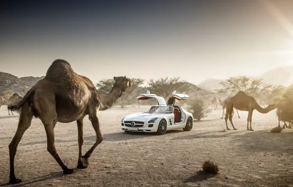 Mercedes-Benz, Sky, AMG, Sun, SLS, White, Supercar, Desert