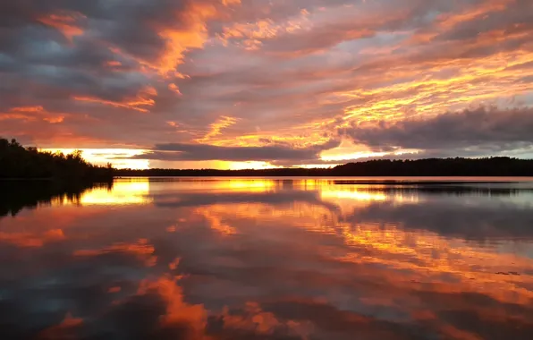 USA, United States, river, trees, sunset, water, view, clouds