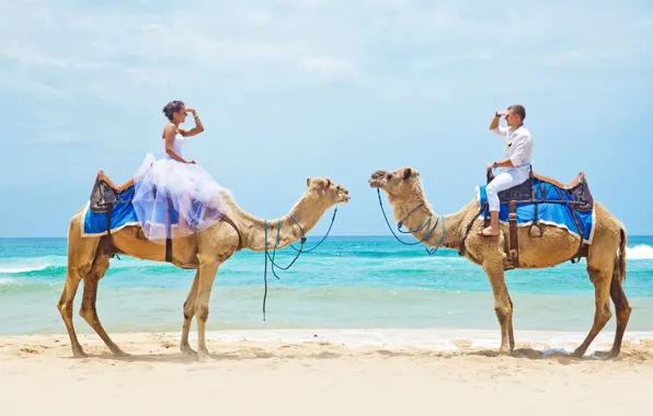 Sea, beach, camels, a couple in love