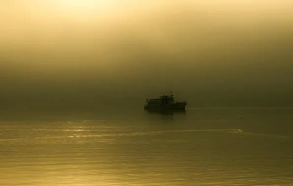 Picture fog, lake, morning, boat