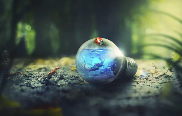 Forest, grass, light bulb, water, girl, light, rendering, fantasy