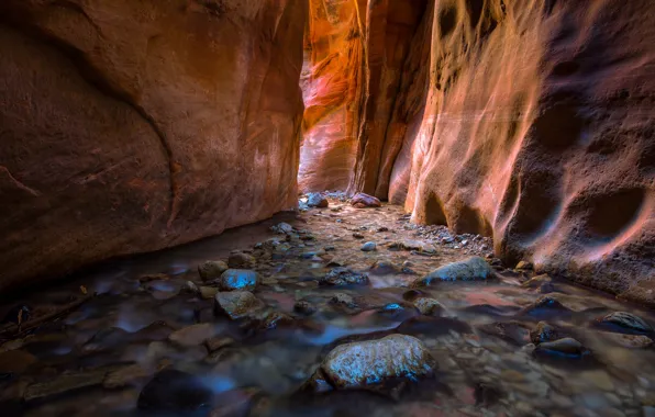 Light, stream, canyon, Utah, USA