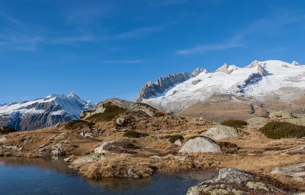 Mountains, nature, Switzerland, Foot Horner Bettmeralp