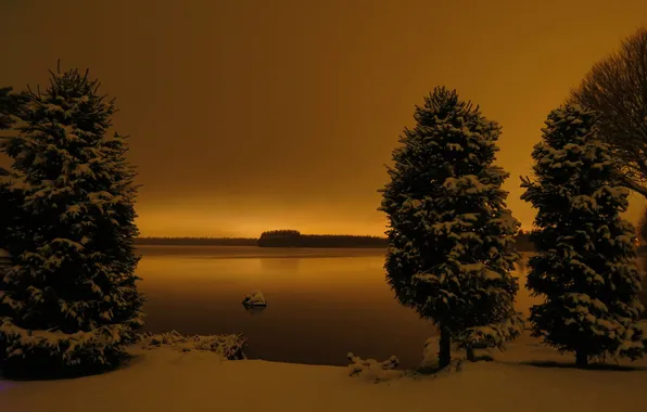 Picture the sky, snow, trees, lake, the evening