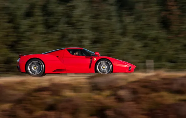 Picture Ferrari, red, Ferrari Enzo, Enzo, side view