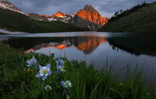 Picture grass, landscape, sunset, flowers, mountains, nature, lake, Colorado