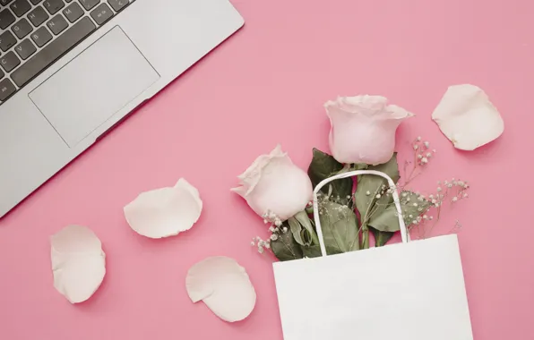 Flowers, background, pink, roses, petals, laptop, pink, flowers