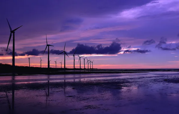 Picture sea, the sky, water, clouds, sunset, reflection, shore, The evening