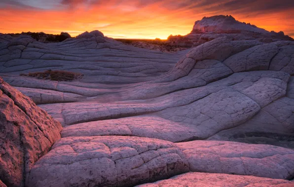 Sunset, the evening, AZ, national Park, monument, White pocket