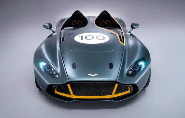 Concept, Aston Martin, Speedster, CC100