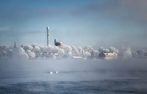 Picture winter, frost, Stockholm, Sweden