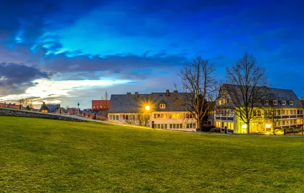 Picture grass, trees, lawn, home, the evening, Germany, lights, Goslar