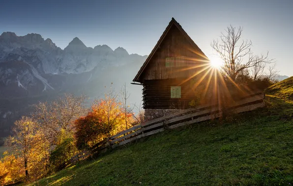 Autumn, the sun, rays, light, trees, mountains, branches, fog