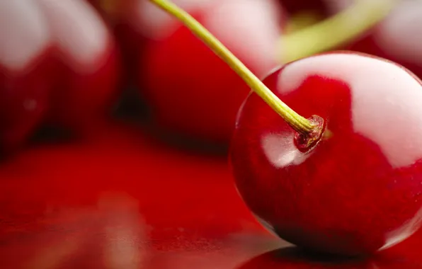 Macro, red, nature, cherry, fruit, fruit, cherry