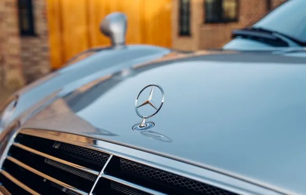 Mercedes-Benz, logo, AMG, CLK, symbol, Mercedes-Benz CLK GTR AMG Coupe
