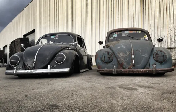 Volkswagen, black, grey, Beetle, ratlook