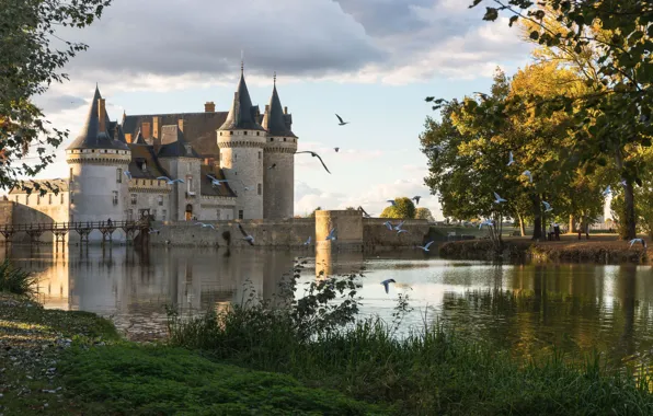Birds, pond, castle, France, Sully sur Loire