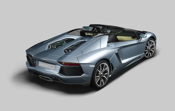 Picture Auto, Lamborghini, rear view, Supercar, Lamborghini, aventador, lp700-4