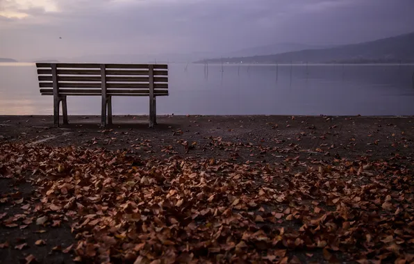 Picture autumn, landscape, nature, lake, mood, the evening, twilight, bench