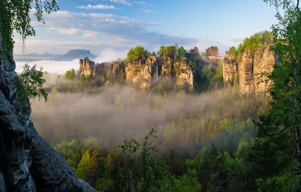 Forest, summer, the sky, clouds, light, trees, landscape, mountains
