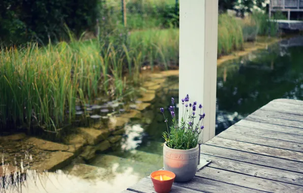 Picture flowers, candle, pot, candle