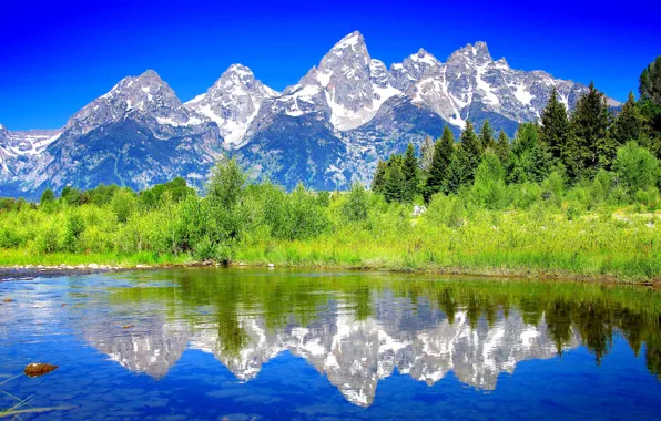 Picture trees, landscape, mountains, river