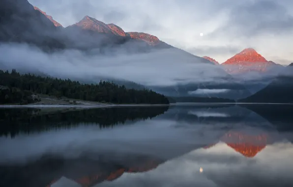Picture forest, landscape, mountains, reflection, pond