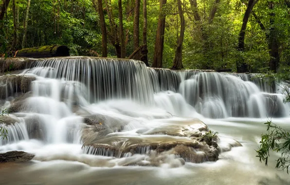 Forest, landscape, river, rocks, waterfall, summer, forest, tropical