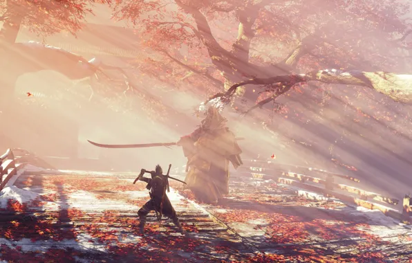 Leaves, fog, the game, Japan, wolf, sword, sword, art