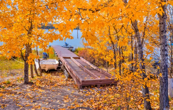 Picture autumn, leaves, trees, lake, boat, the bridge