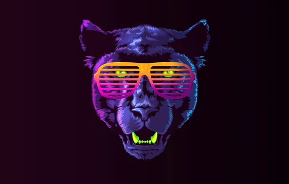 Color, Minimalism, Music, Cat, Retro, Glasses, Panther, Background