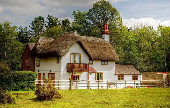 The sky, trees, house, England, cottage