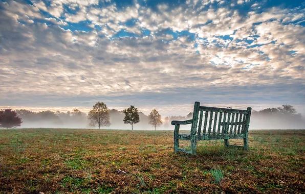 Field, landscape, fog, bench