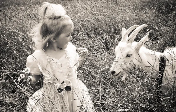 Summer, dress, smile, beautiful, child, little Girl, a girl and a goat