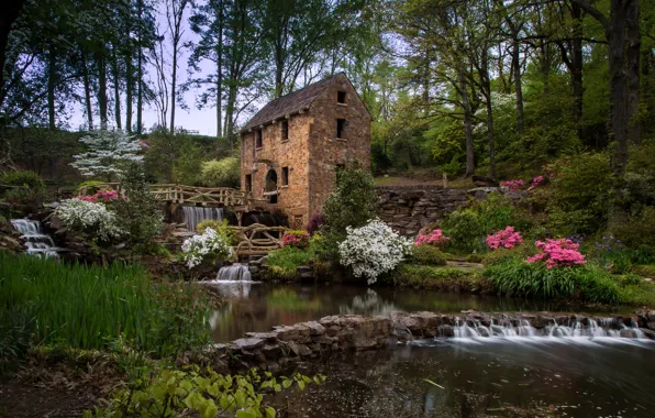 Forest, trees, stream, stones, waterfall, water mill, the bushes