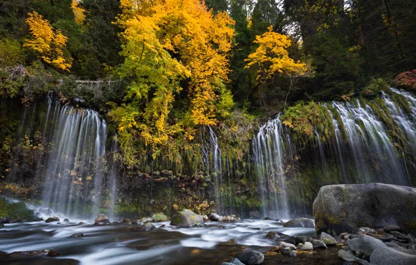 Autumn, forest, trees, river, stones, waterfall, CA, cascade