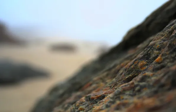 Stones, moss, focus, blur