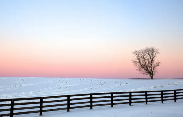 Picture winter, field, landscape, the fence