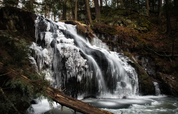 Picture winter, forest, waterfall, ice, Connecticut, Woodbury, Nonnewaug Falls