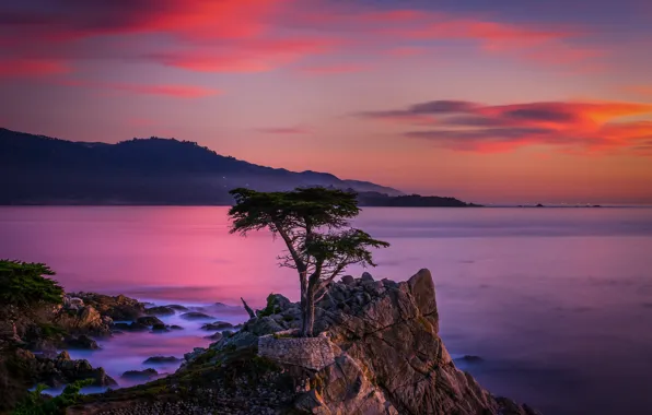 Picture landscape, sunset, mountains, nature, tree, the ocean, rocks, CA