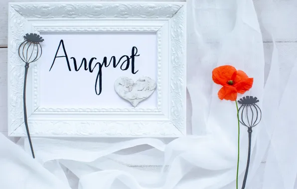 Mac, frame, August