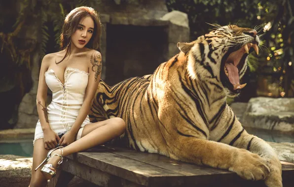 Asian, tiger, women, high heels, Li Jiao, Aleo