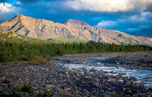 River, Alaska, USA, the foothills, Teklanika, Denali Park