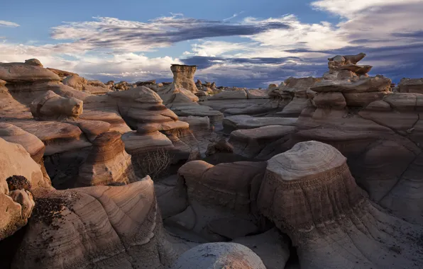 Picture stones, desert, Bisti Badlands