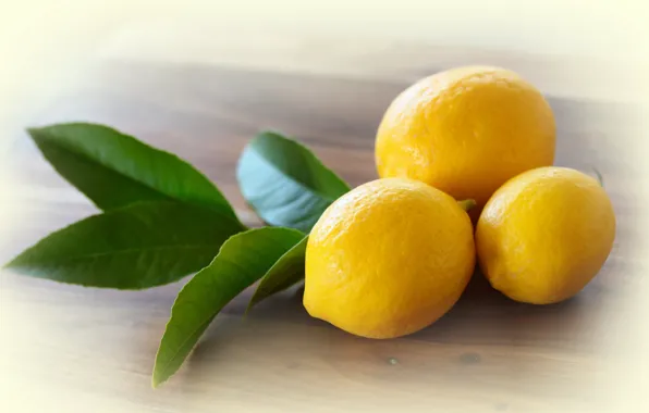 Picture macro, lemon, food