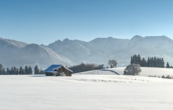 Winter, frost, field, forest, the sky, snow, fog, hills