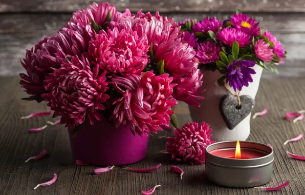 Flowers, bouquet, red, chrysanthemum, THE OFF