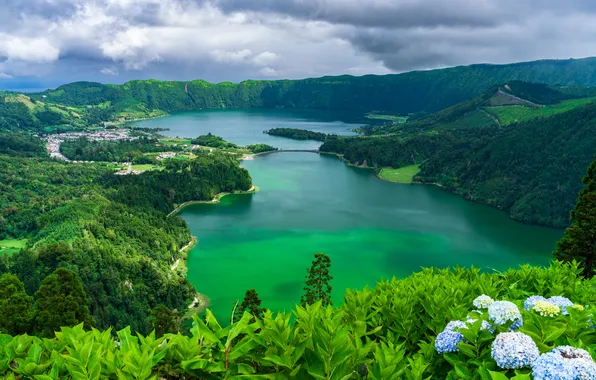 Sea, greens, forest, summer, leaves, clouds, flowers, mountains